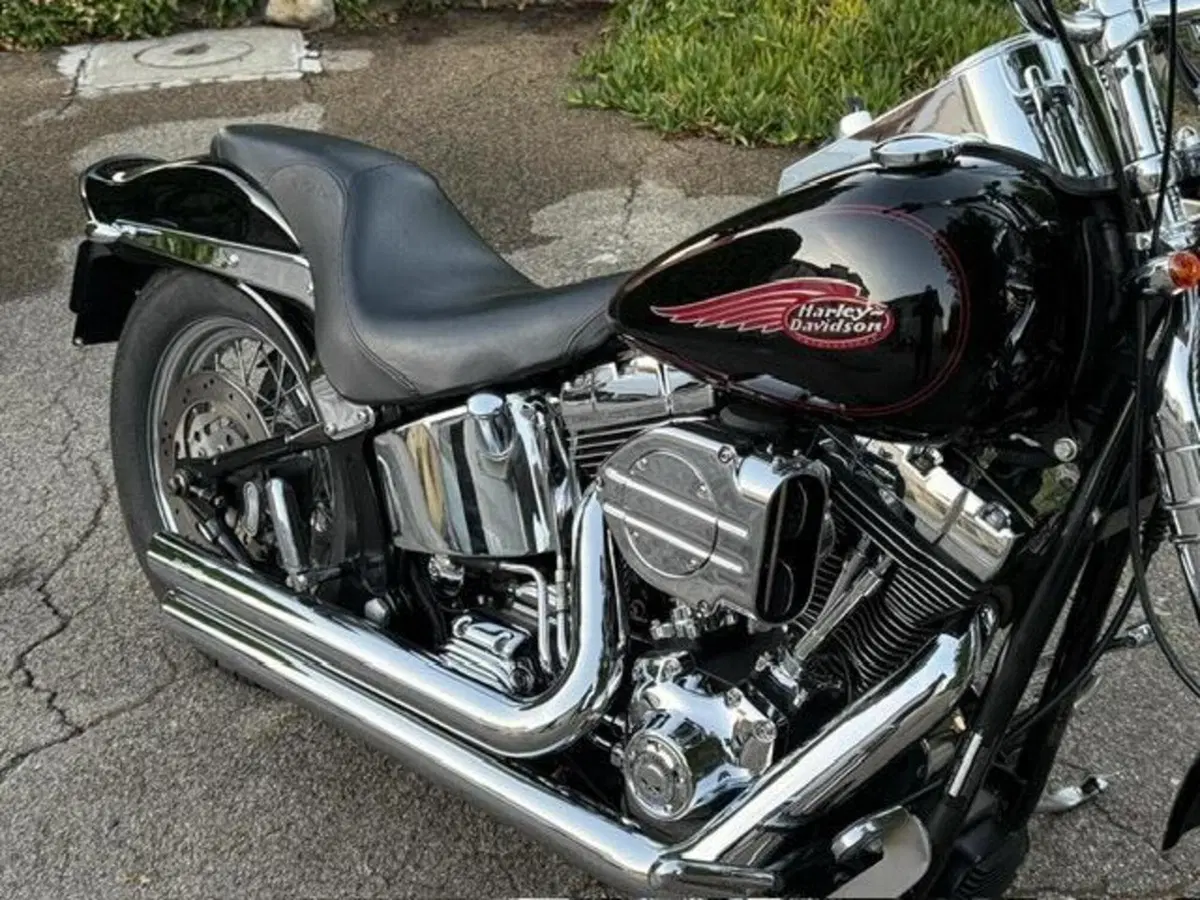 Harley-Davidson 1450 Springer (2002 - 04) - FXSTSI (18)