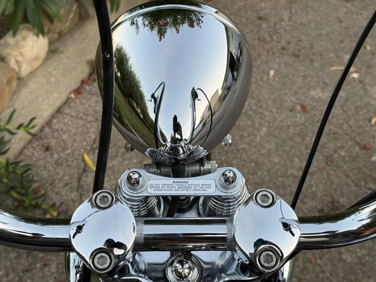 Harley-Davidson 1450 Springer (2002 - 04) - FXSTSI (19)