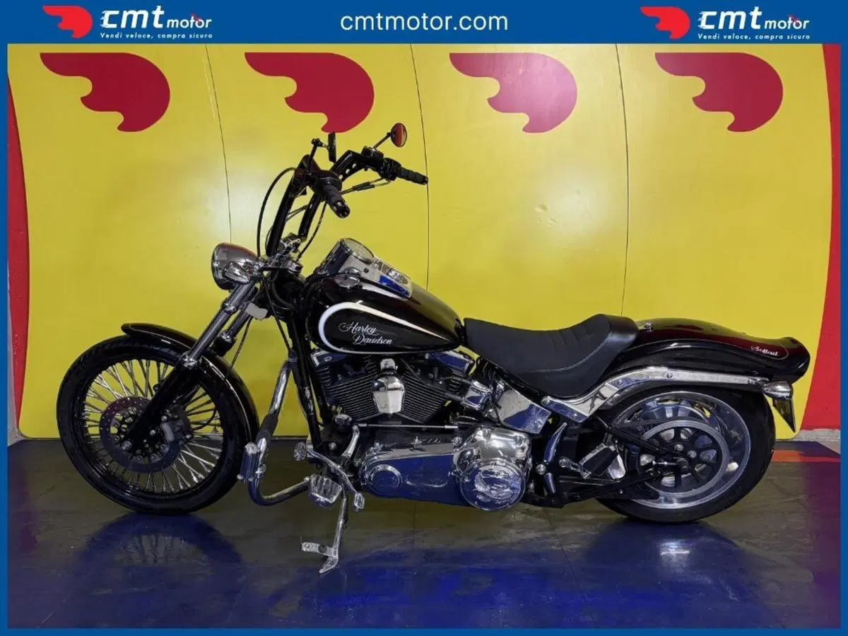 Harley-Davidson 1584 Custom (2007) - FXSTC (3)