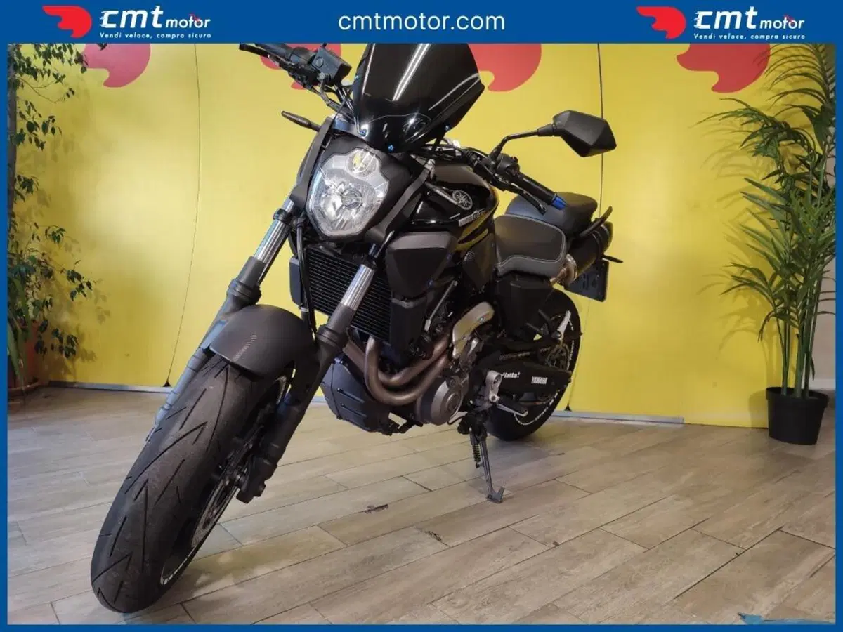 Yamaha MT-03 (2006 - 14) (7)