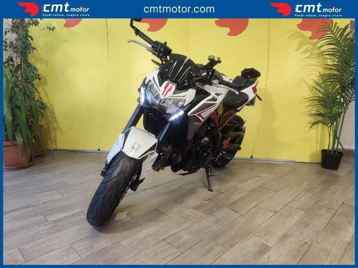 Kawasaki Z 900 (2021 - 24) (2)
