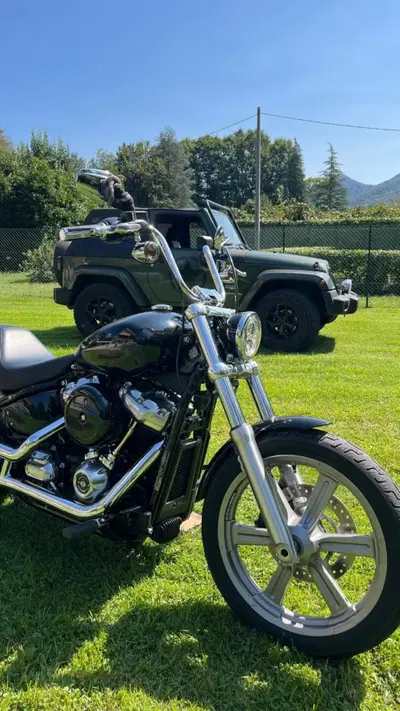 Harley-Davidson Softail Standard (2020) - FXST usata