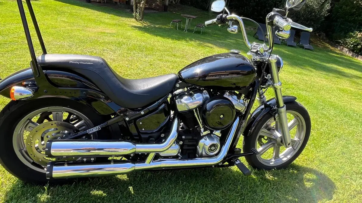 Harley-Davidson Softail Standard (2020) - FXST (2)