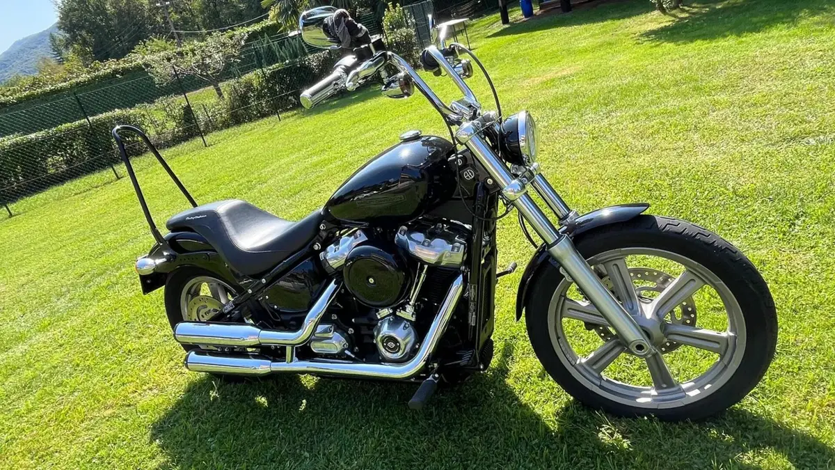 Harley-Davidson Softail Standard (2020) - FXST (3)