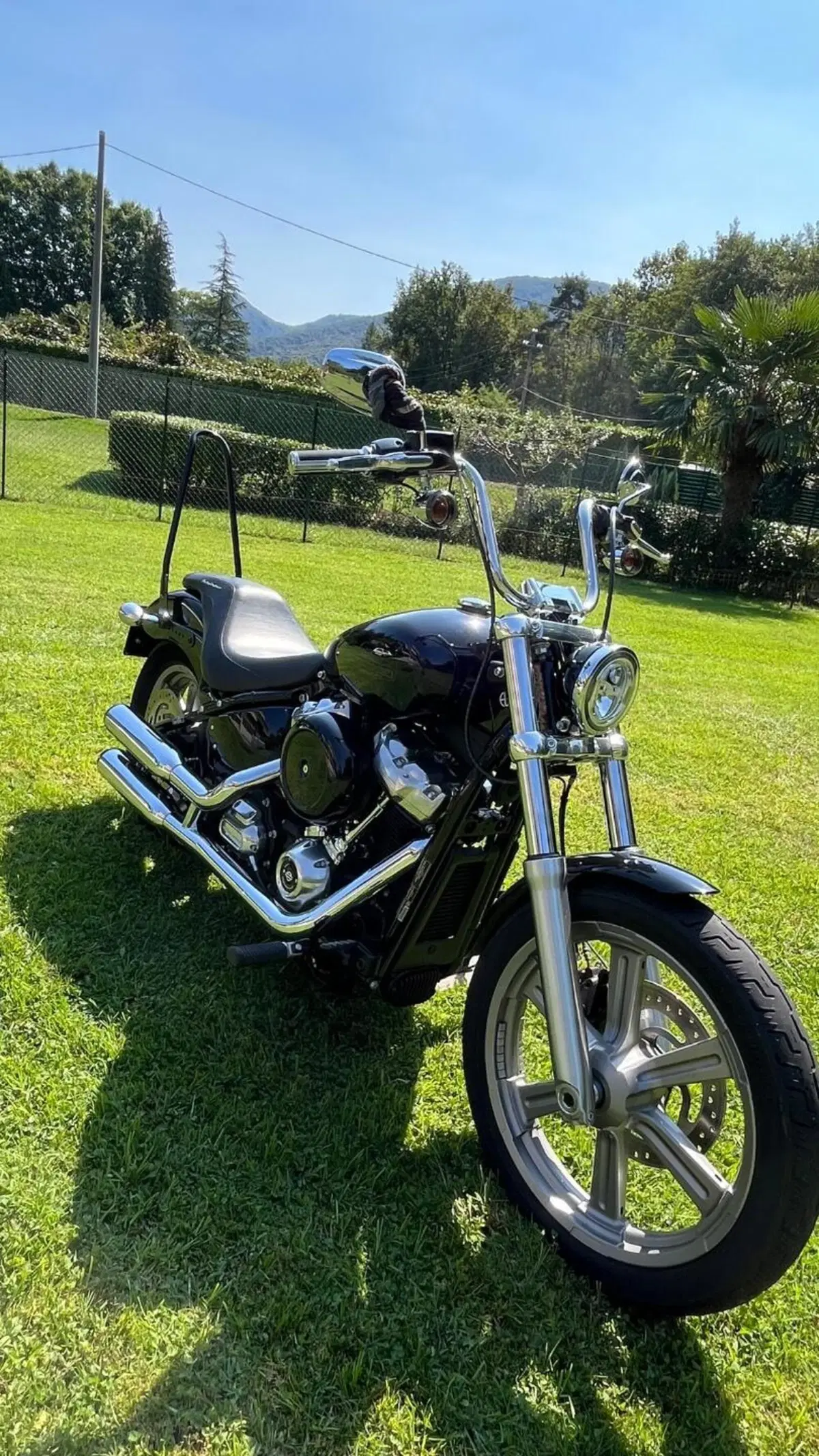 Harley-Davidson Softail Standard (2020) - FXST (6)