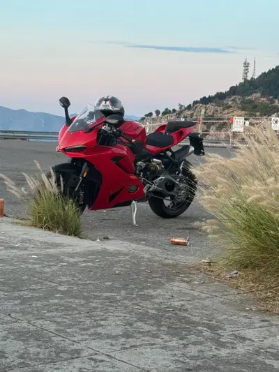 Ducati Panigale V2 (2025 - 26) usata