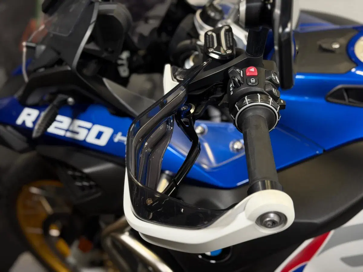 Bmw R 1250 GS Adventure (2019 - 20) (12)
