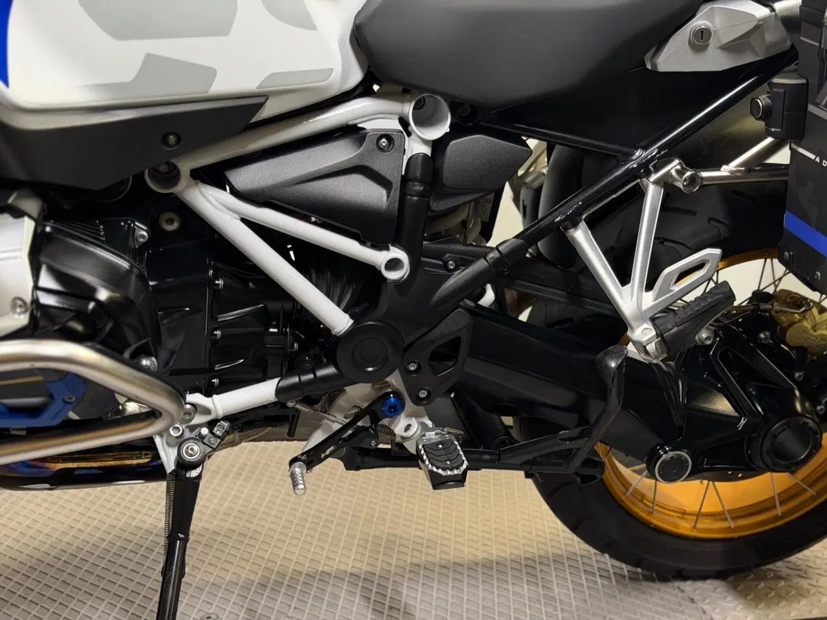 Bmw R 1250 GS Adventure (2019 - 20) (14)