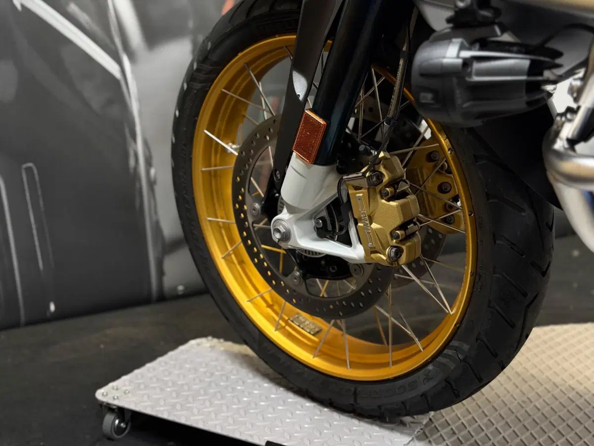 Bmw R 1250 GS Adventure (2019 - 20) (16)