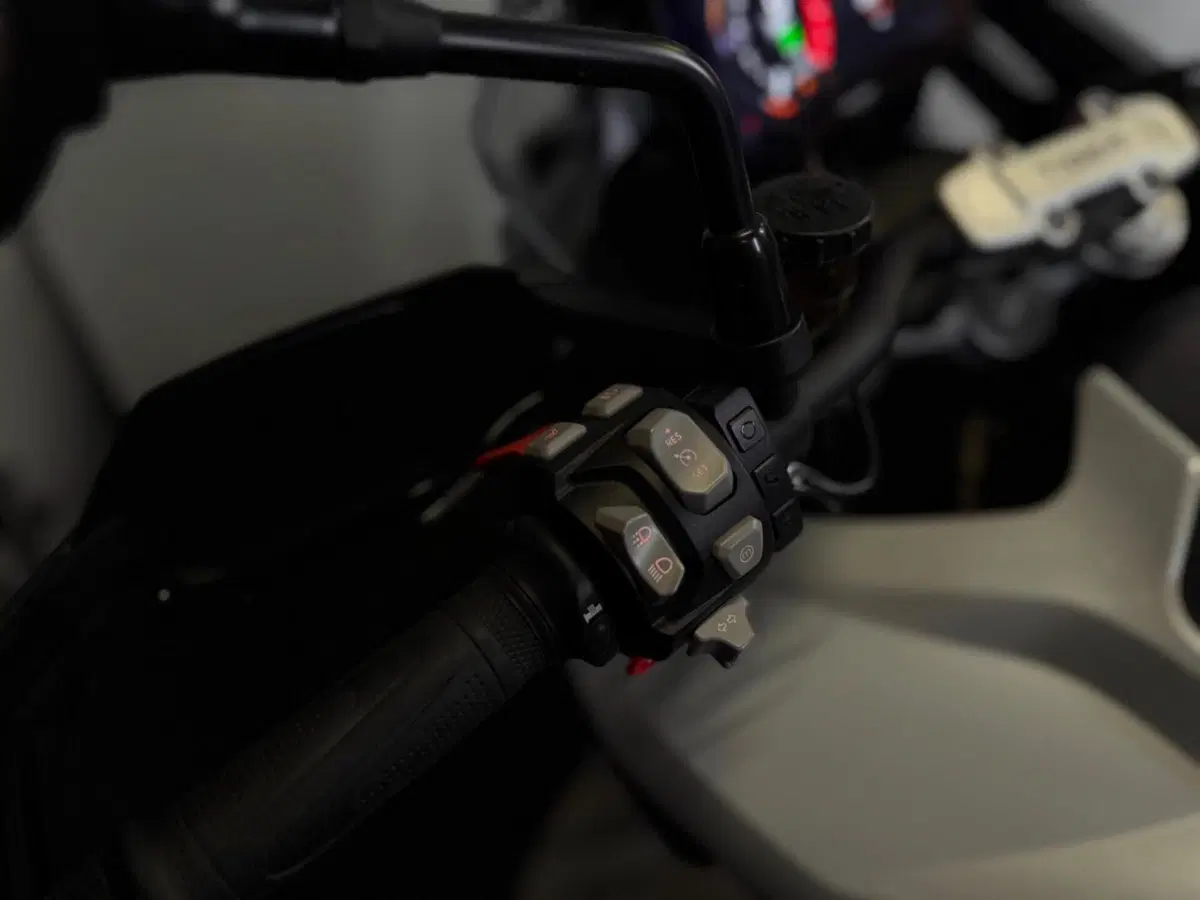 Triumph Tiger 1200 GT Pro (2022 - 23) (15)