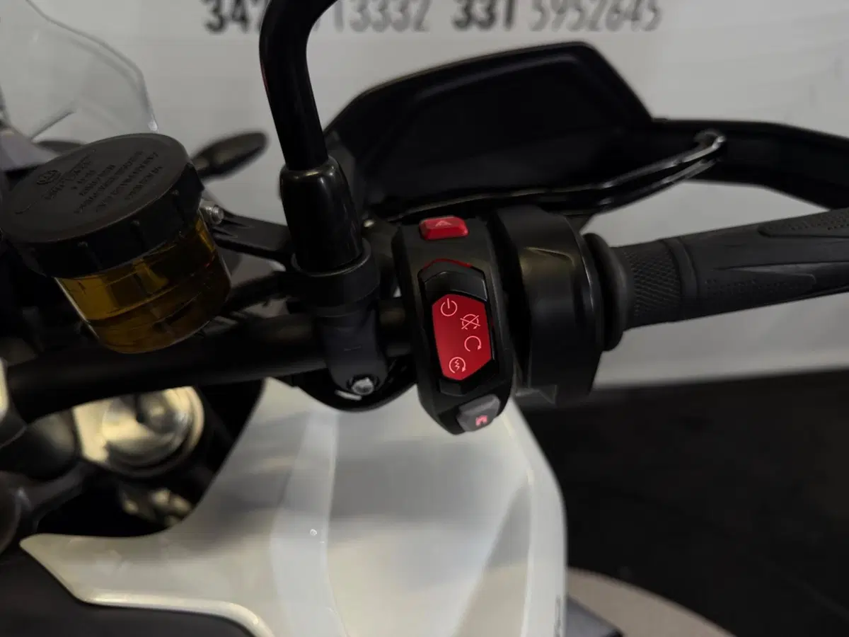 Triumph Tiger 1200 GT Pro (2022 - 23) (16)