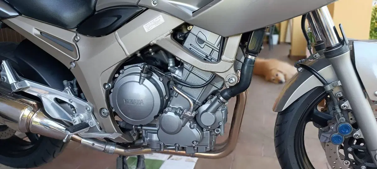 Yamaha TDM 900 (2002 - 14) (6)