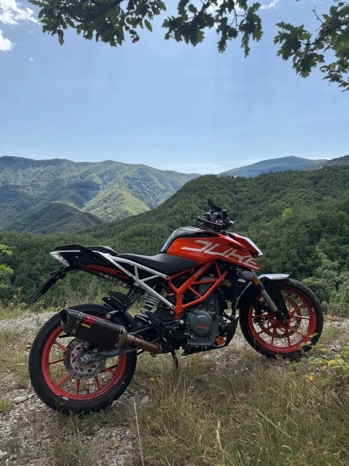 KTM 390 Duke ABS (2017 - 20) (2)