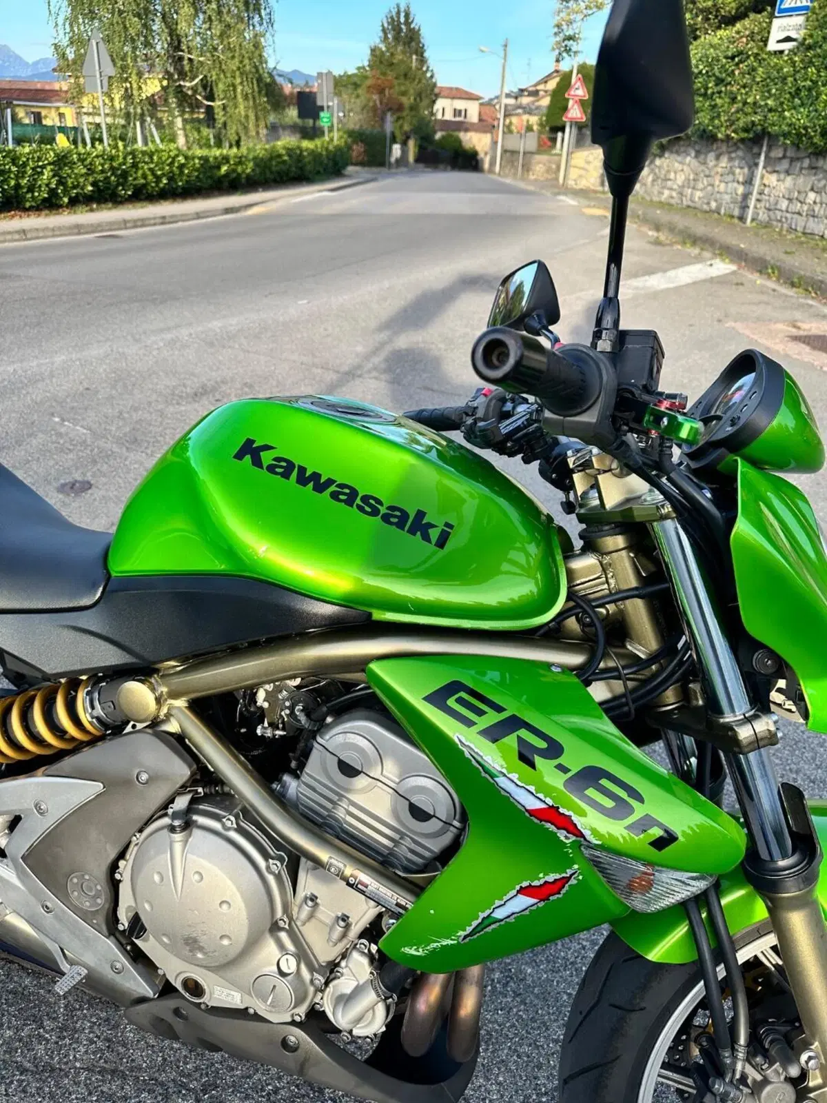 Kawasaki ER-6N (2006 - 09) (6)