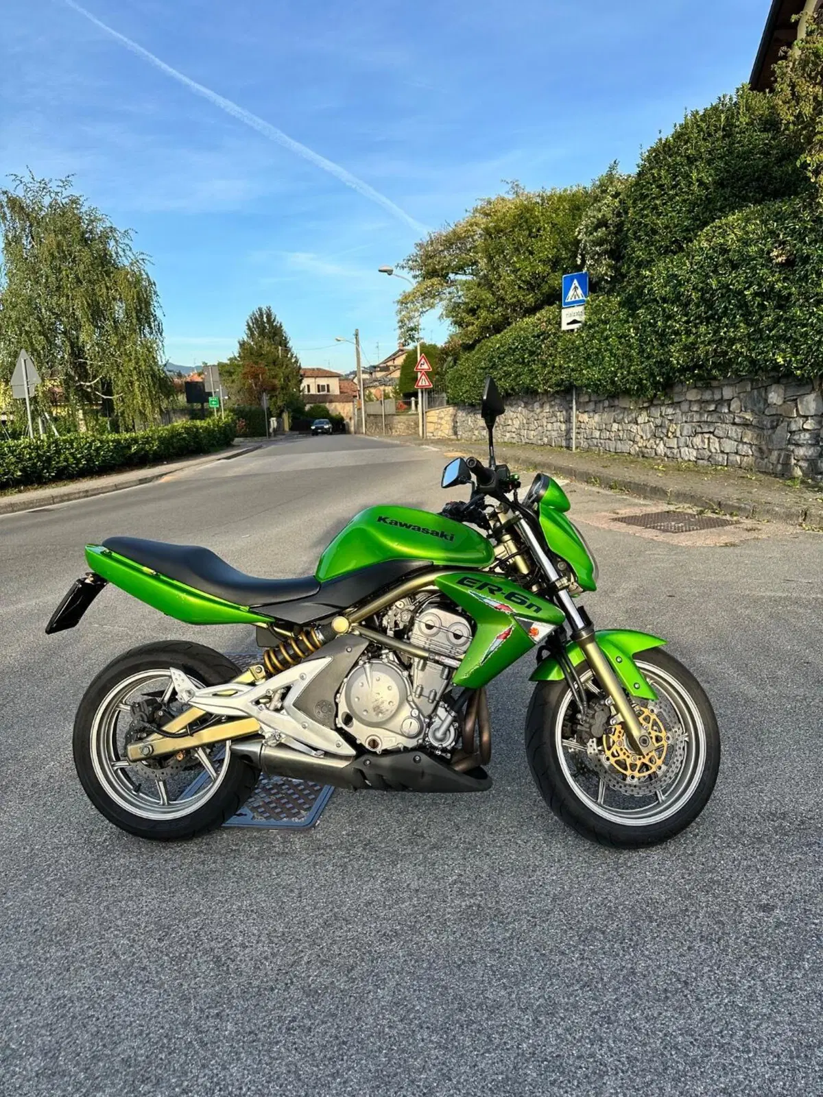 Kawasaki ER-6N (2006 - 09) (2)