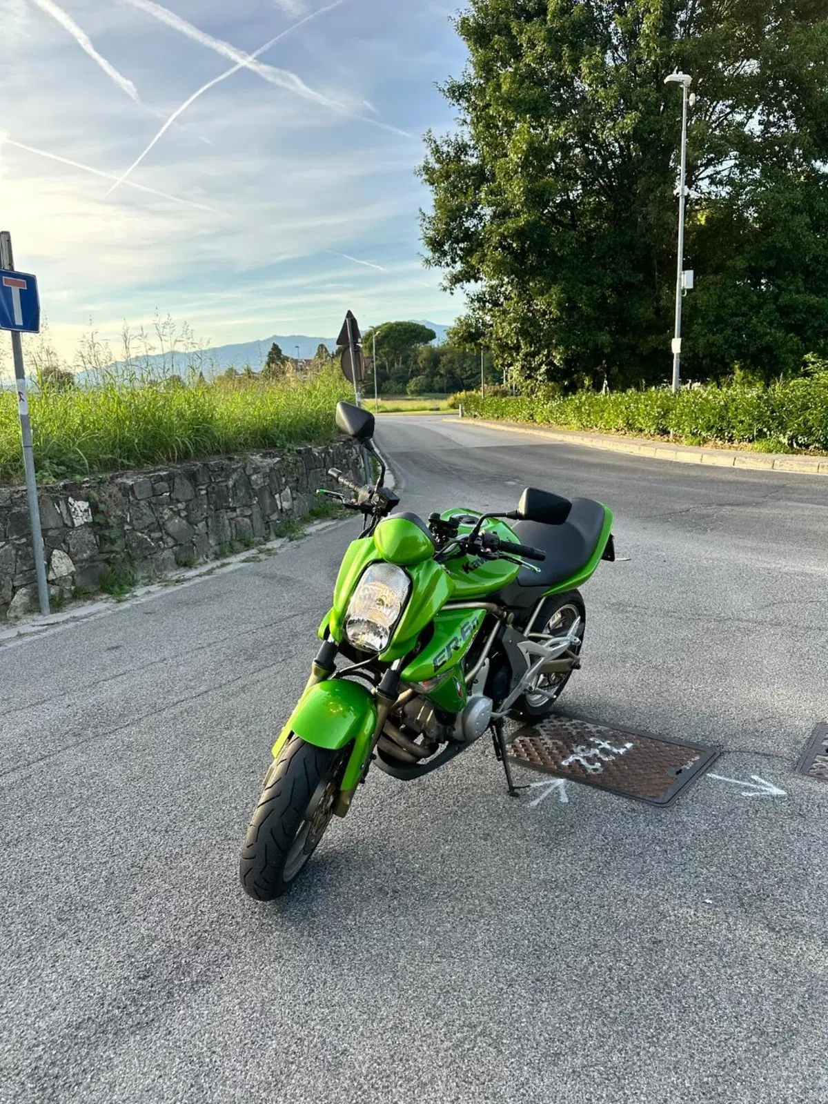 Kawasaki ER-6N (2006 - 09) (3)
