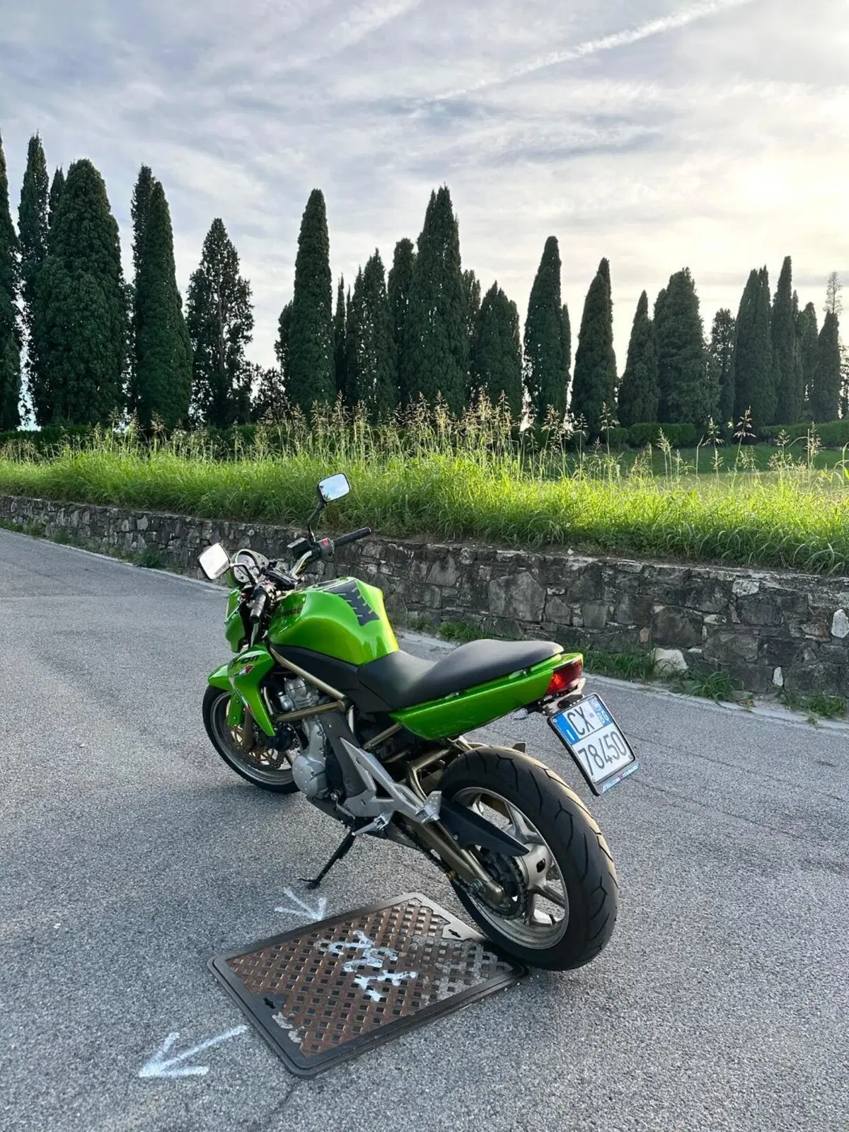 Kawasaki ER-6N (2006 - 09) (7)