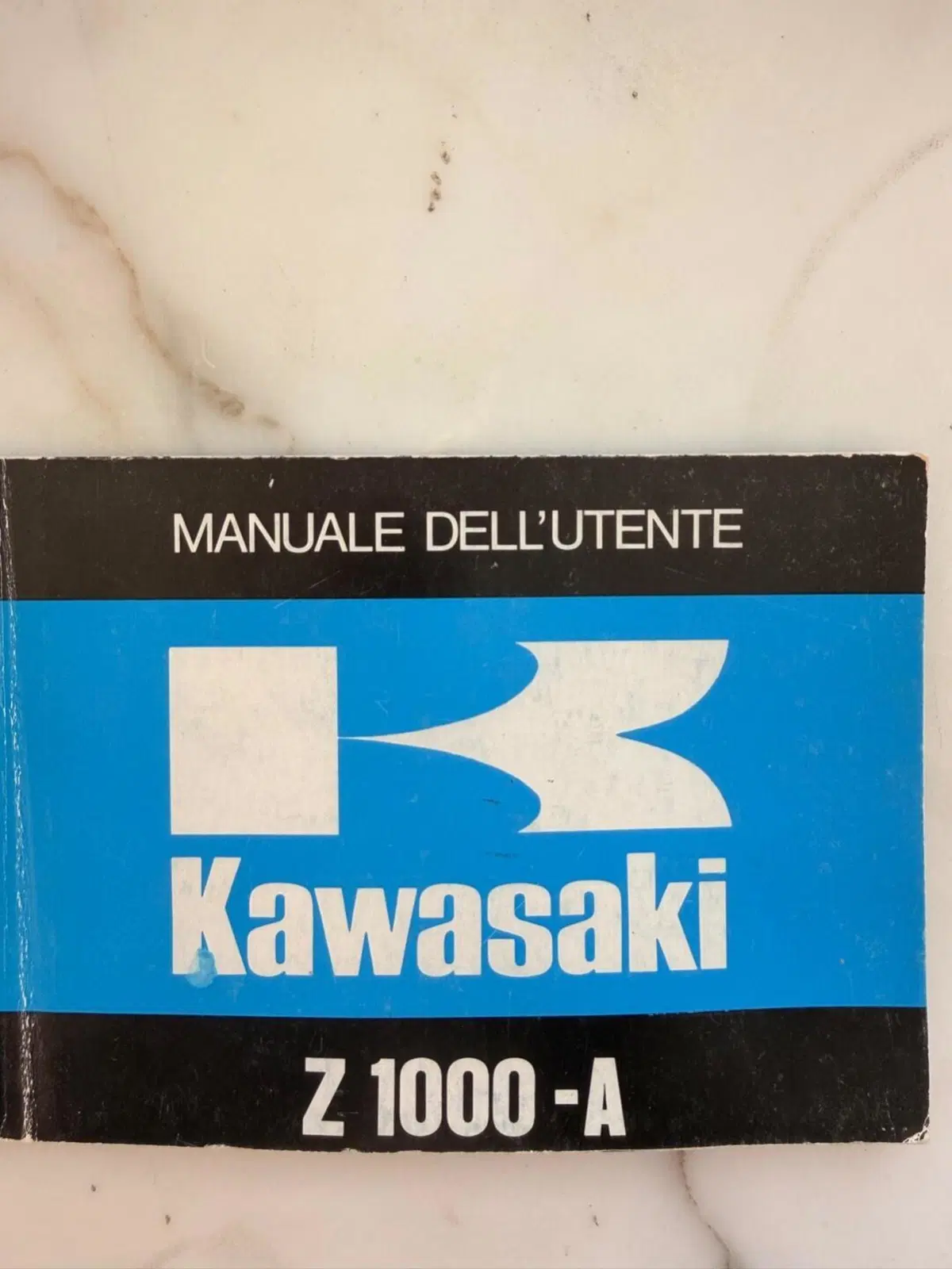 Kawasaki Z1000 (19)