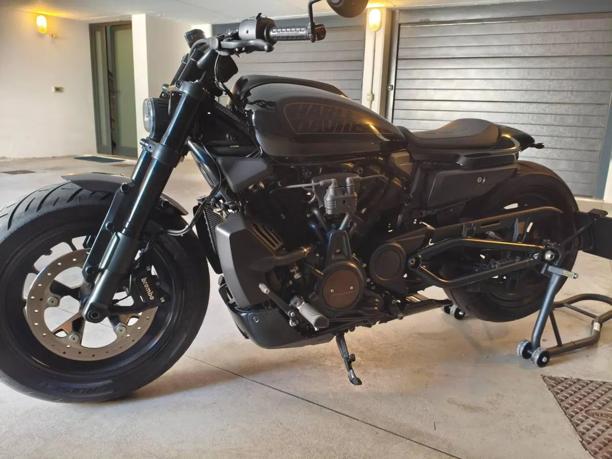 Harley-Davidson Sportster S (2022 - 24) (4)