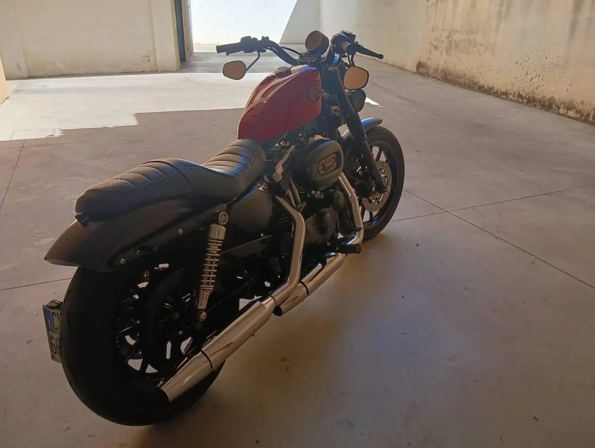 Harley-Davidson 883 R (2006 - 07) - XL 883R (4)