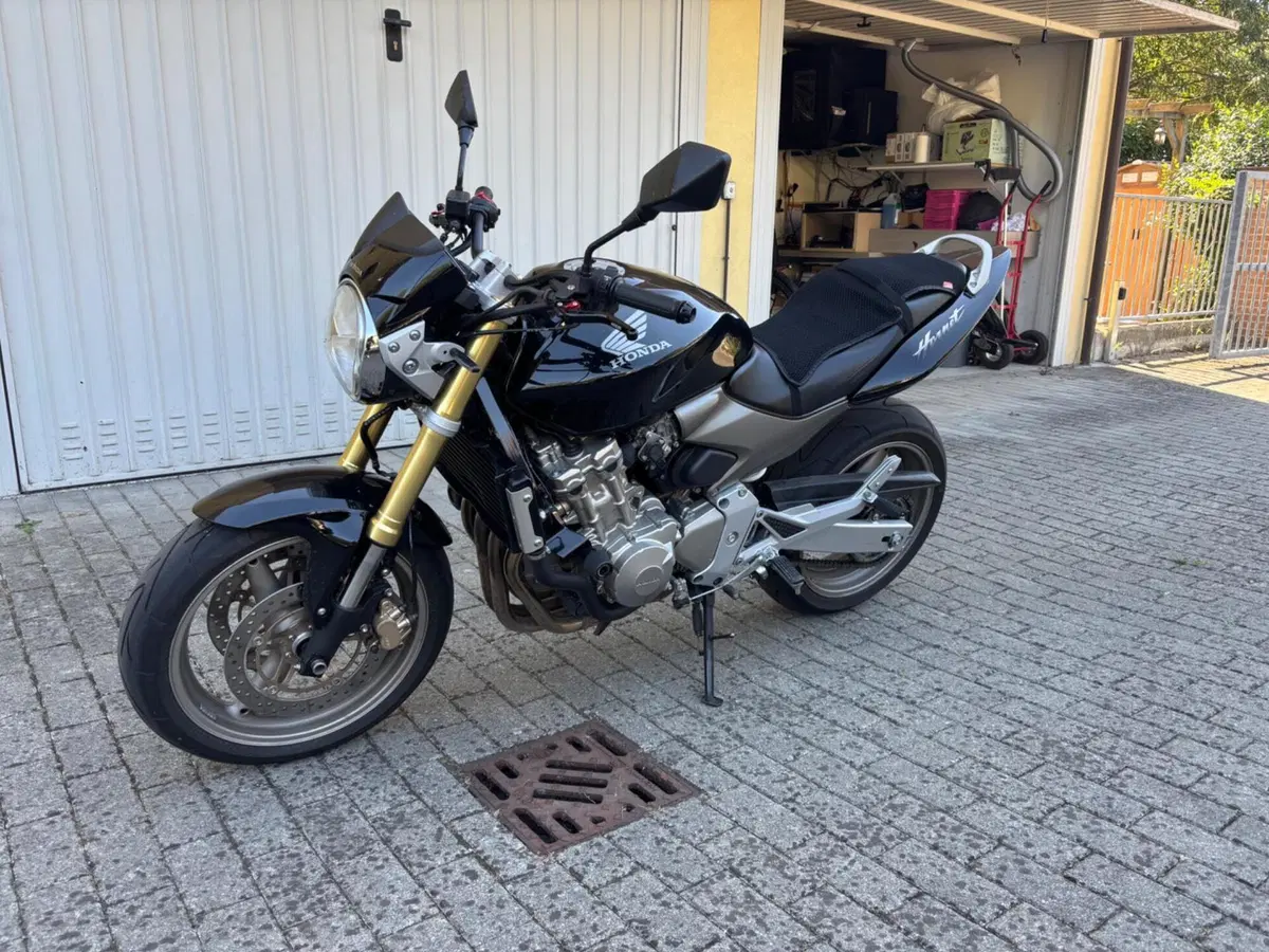 Honda Hornet 600 (2005 - 06)