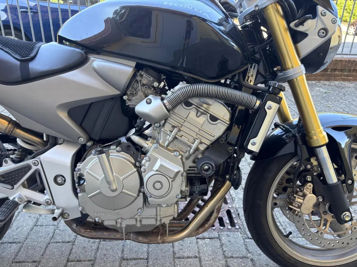 Honda Hornet 600 (2005 - 06) (4)
