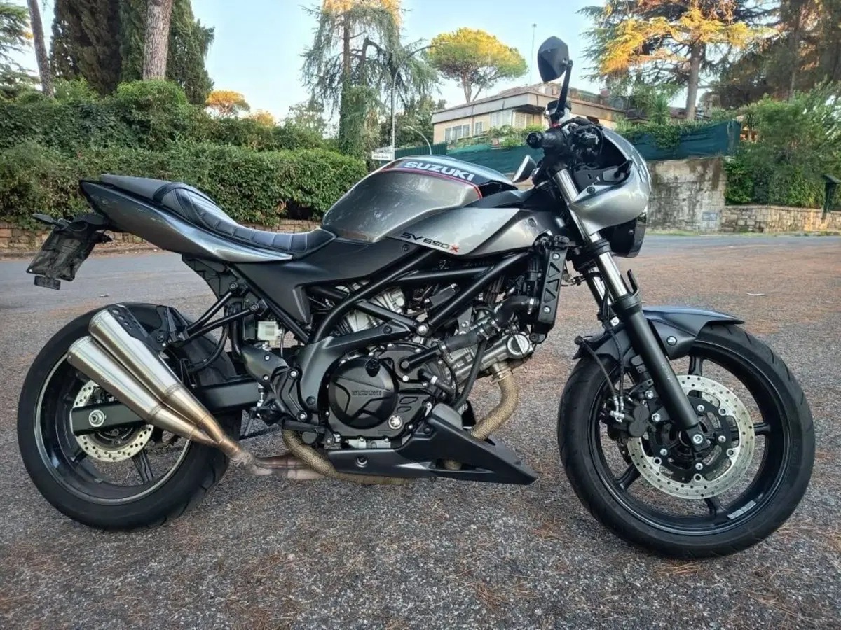 Suzuki SV 650 X (2018 - 20) (2)