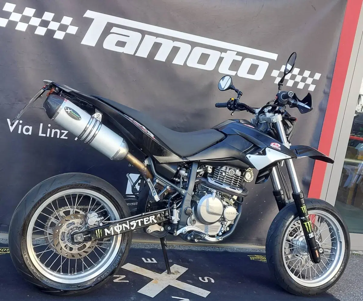 Betamotor Alp 4.0 (2008 - 17) (3)