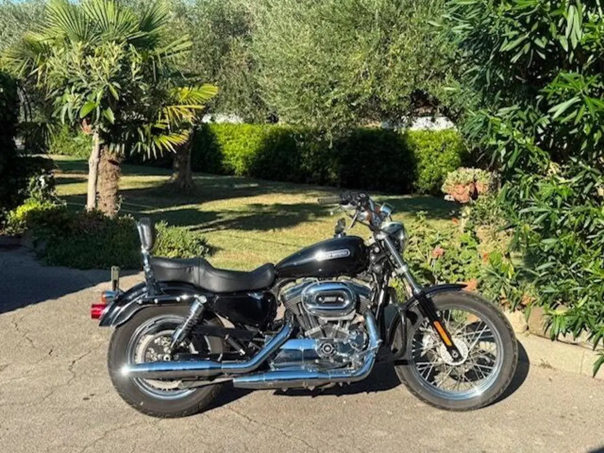Harley-Davidson 1200 Low (2008 - 09) - XL 1200L