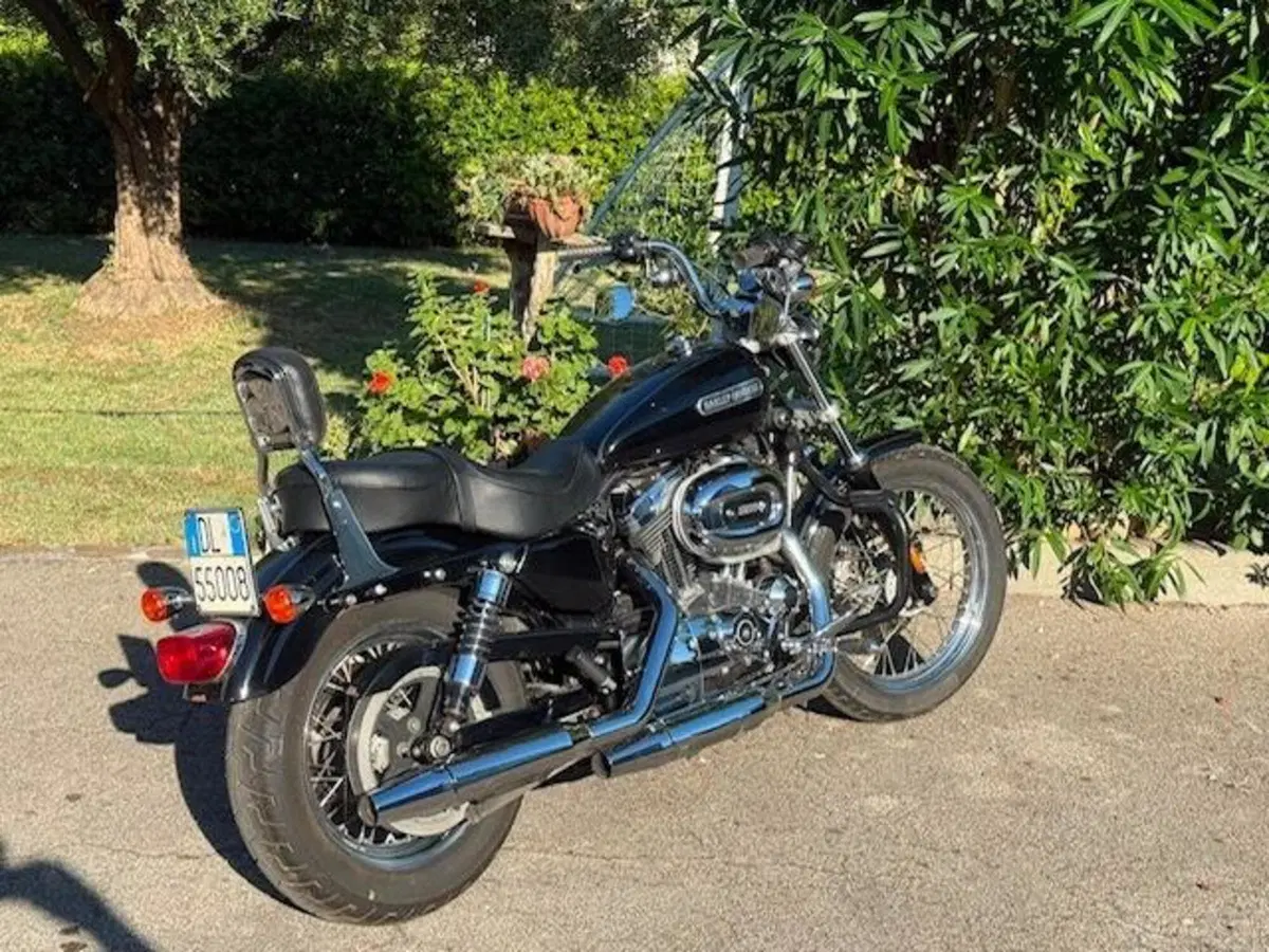 Harley-Davidson 1200 Low (2008 - 09) - XL 1200L (2)