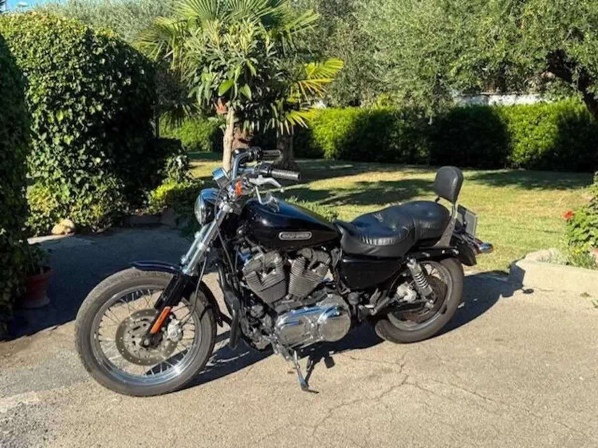 Harley-Davidson 1200 Low (2008 - 09) - XL 1200L (3)
