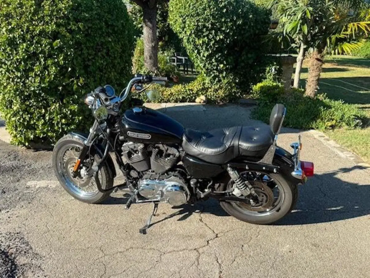 Harley-Davidson 1200 Low (2008 - 09) - XL 1200L (4)