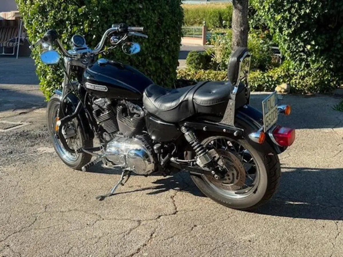 Harley-Davidson 1200 Low (2008 - 09) - XL 1200L (5)