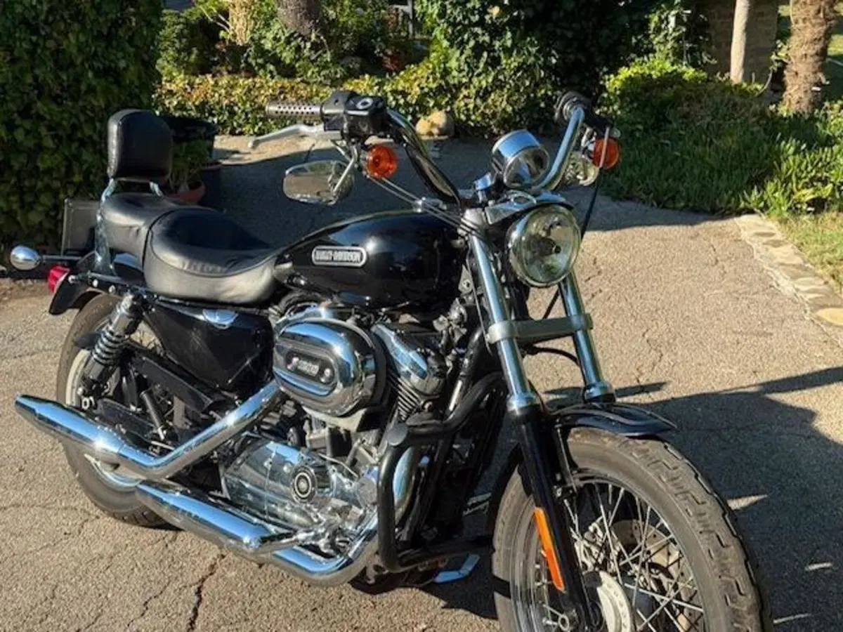 Harley-Davidson 1200 Low (2008 - 09) - XL 1200L (6)