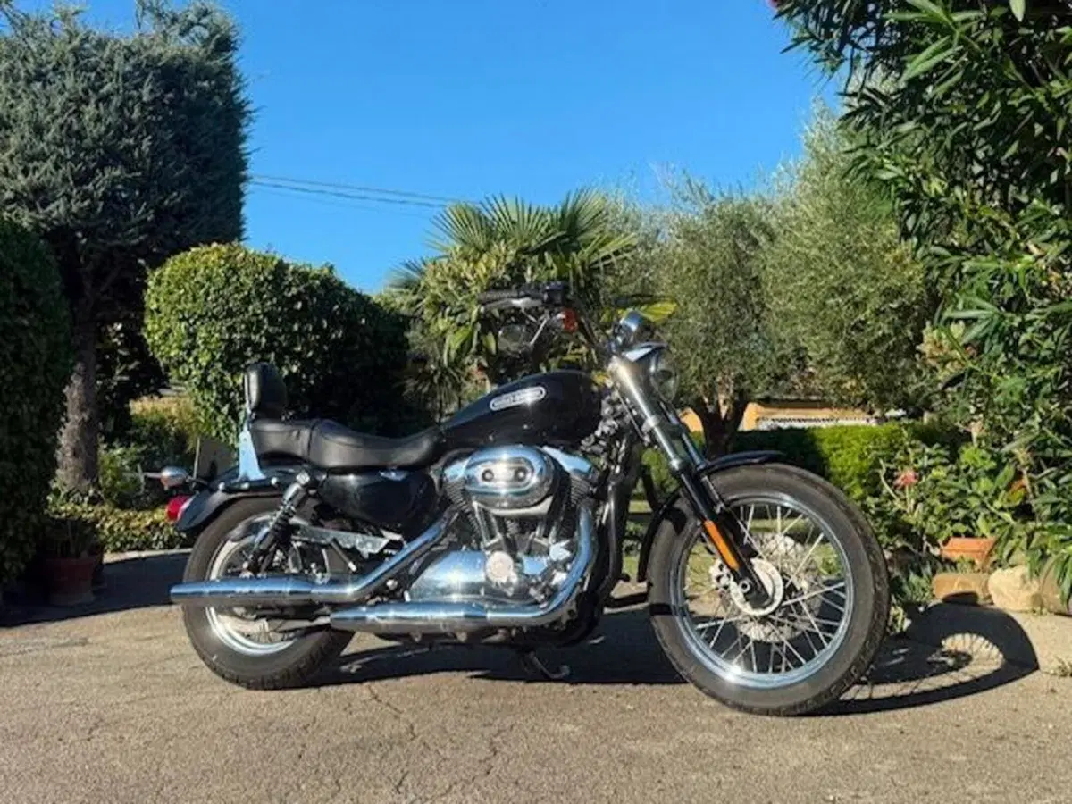 Harley-Davidson 1200 Low (2008 - 09) - XL 1200L (7)