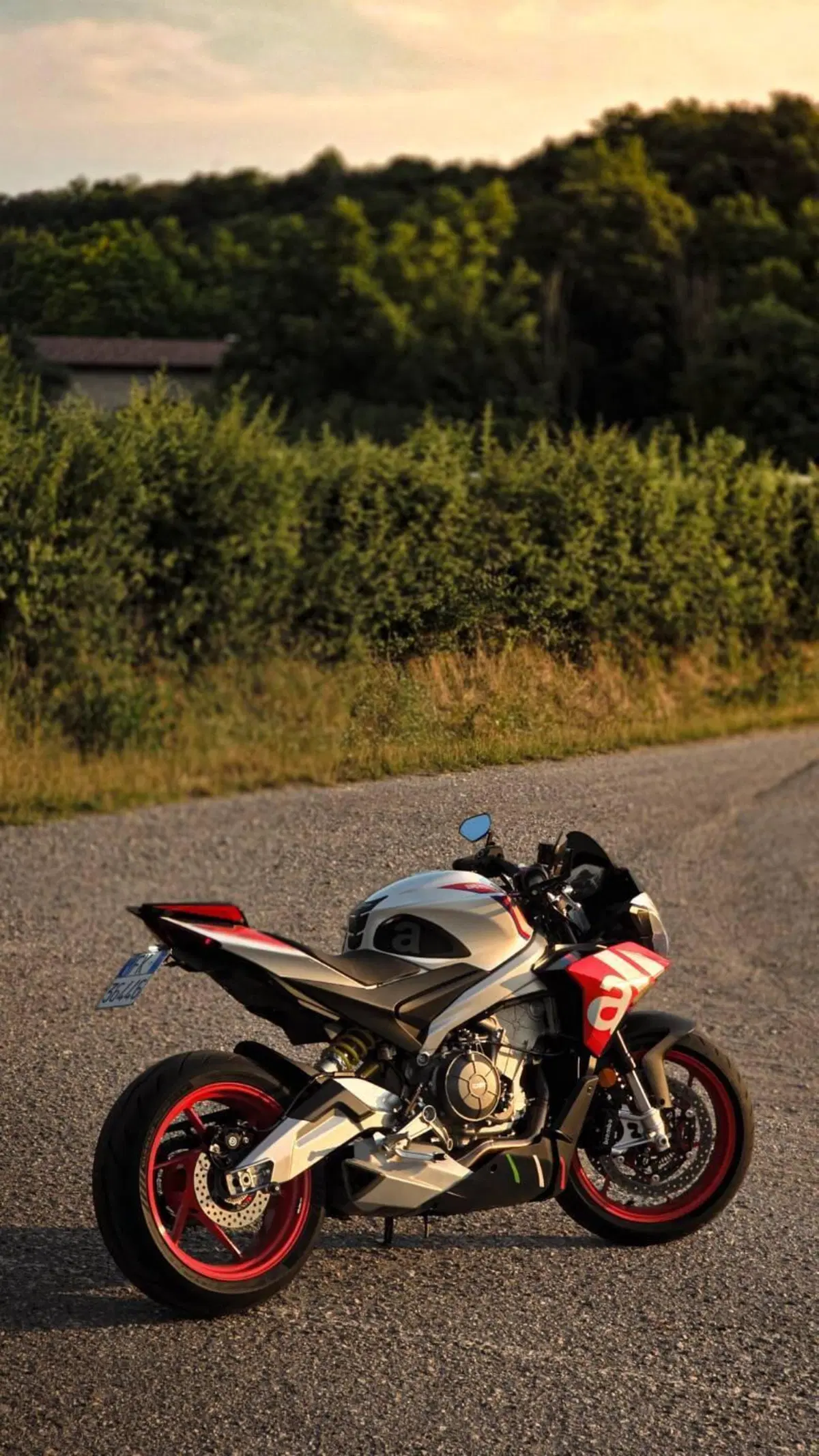 Aprilia Tuono 660 Factory (2022 - 24) (2)