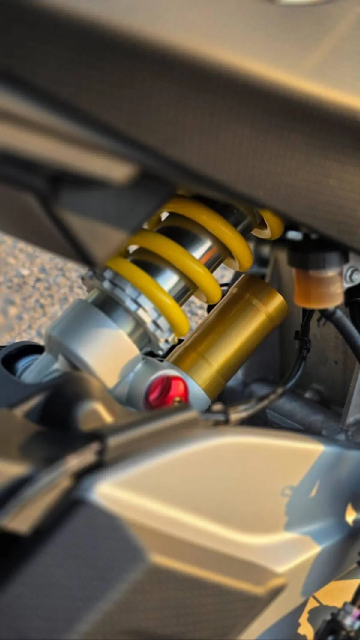 Aprilia Tuono 660 Factory (2022 - 24) (4)
