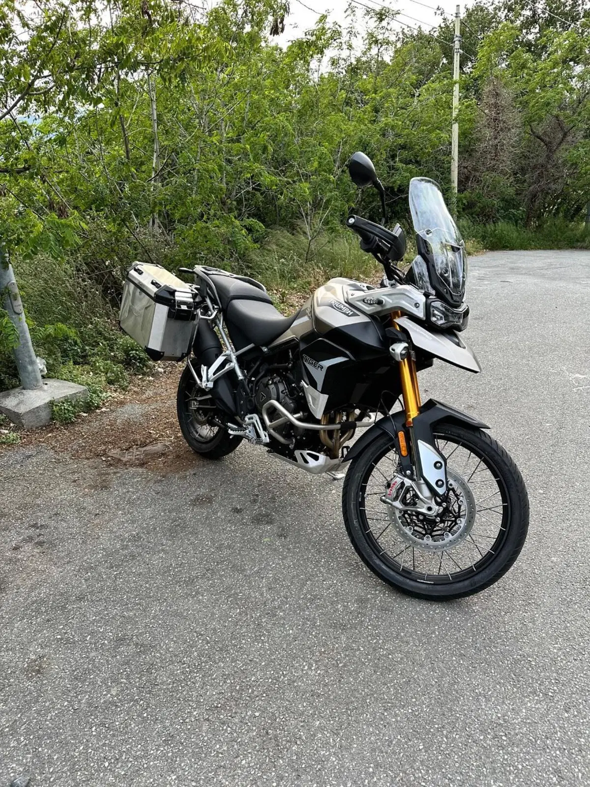 Triumph Tiger 900 Rally Pro (2020 - 23) (3)