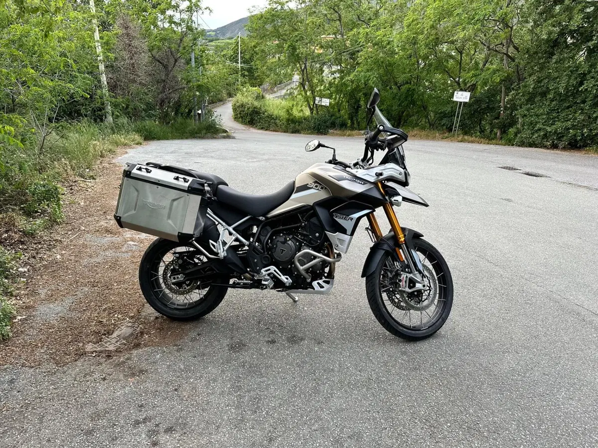 Triumph Tiger 900 Rally Pro (2020 - 23) (4)