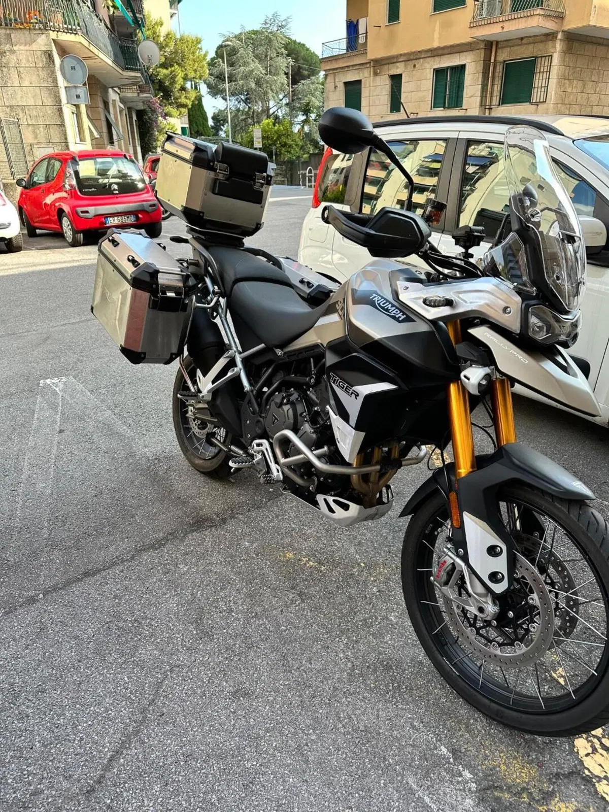 Triumph Tiger 900 Rally Pro (2020 - 23) (6)