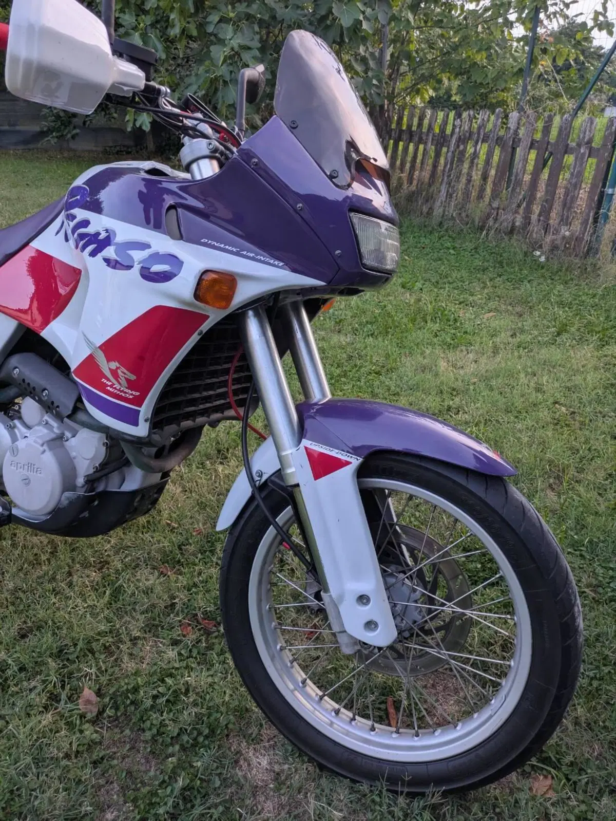 Aprilia Pegaso 650 a.e. (1994 - 96) (4)