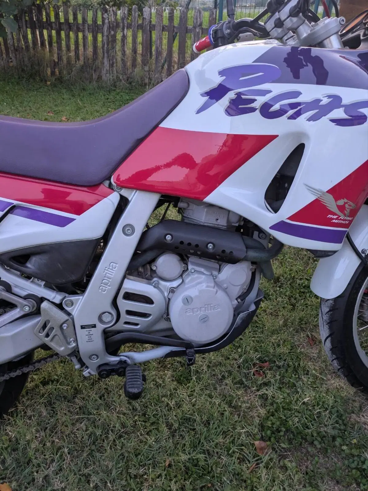 Aprilia Pegaso 650 a.e. (1994 - 96) (5)