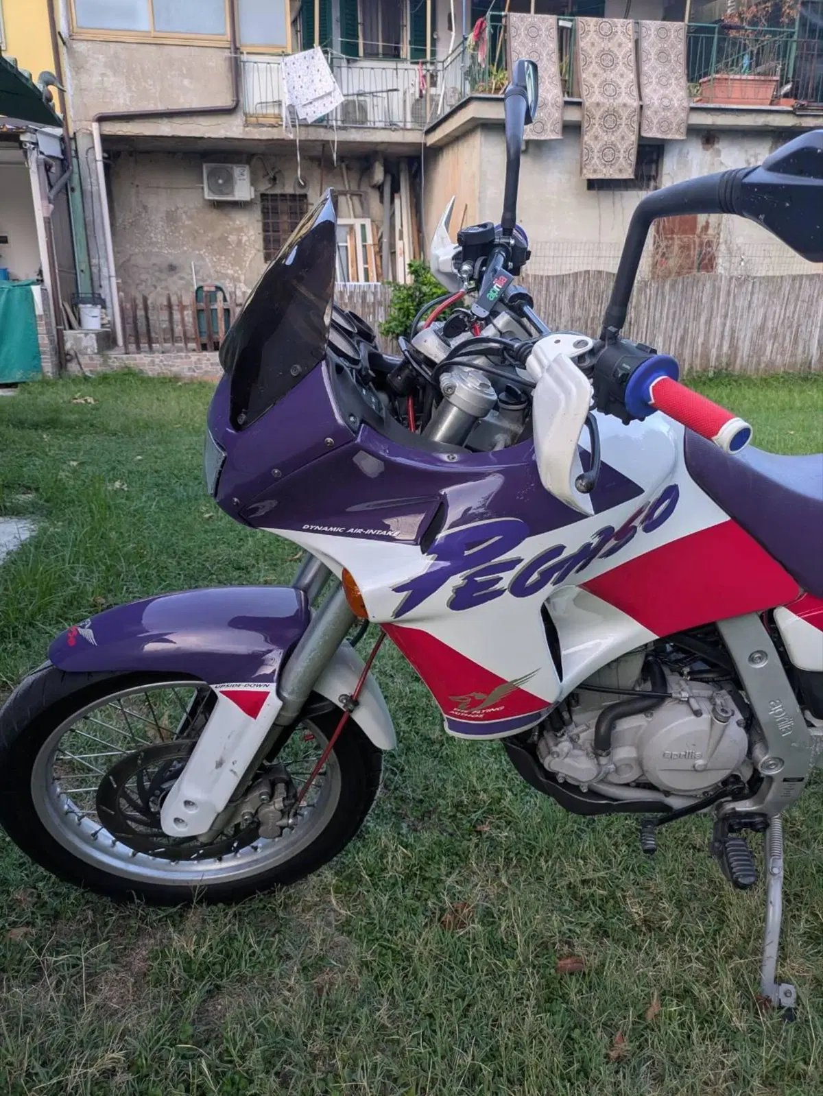 Aprilia Pegaso 650 a.e. (1994 - 96) (8)