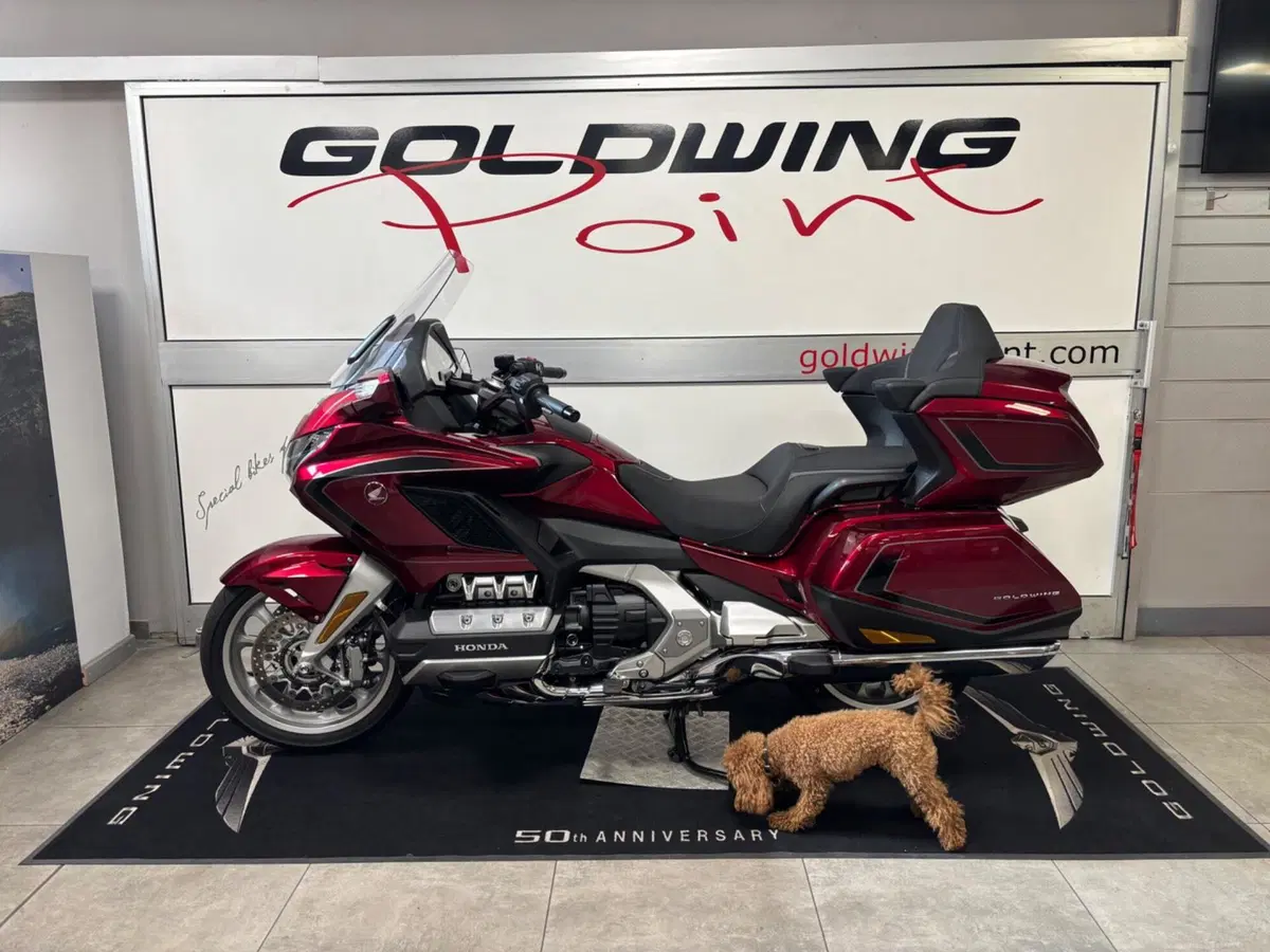 Honda GL 1800 Gold Wing Tour (2025 - 26) (4)
