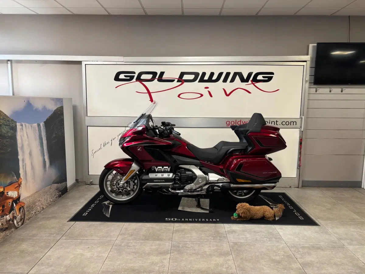 Honda GL 1800 Gold Wing Tour (2025 - 26) (5)