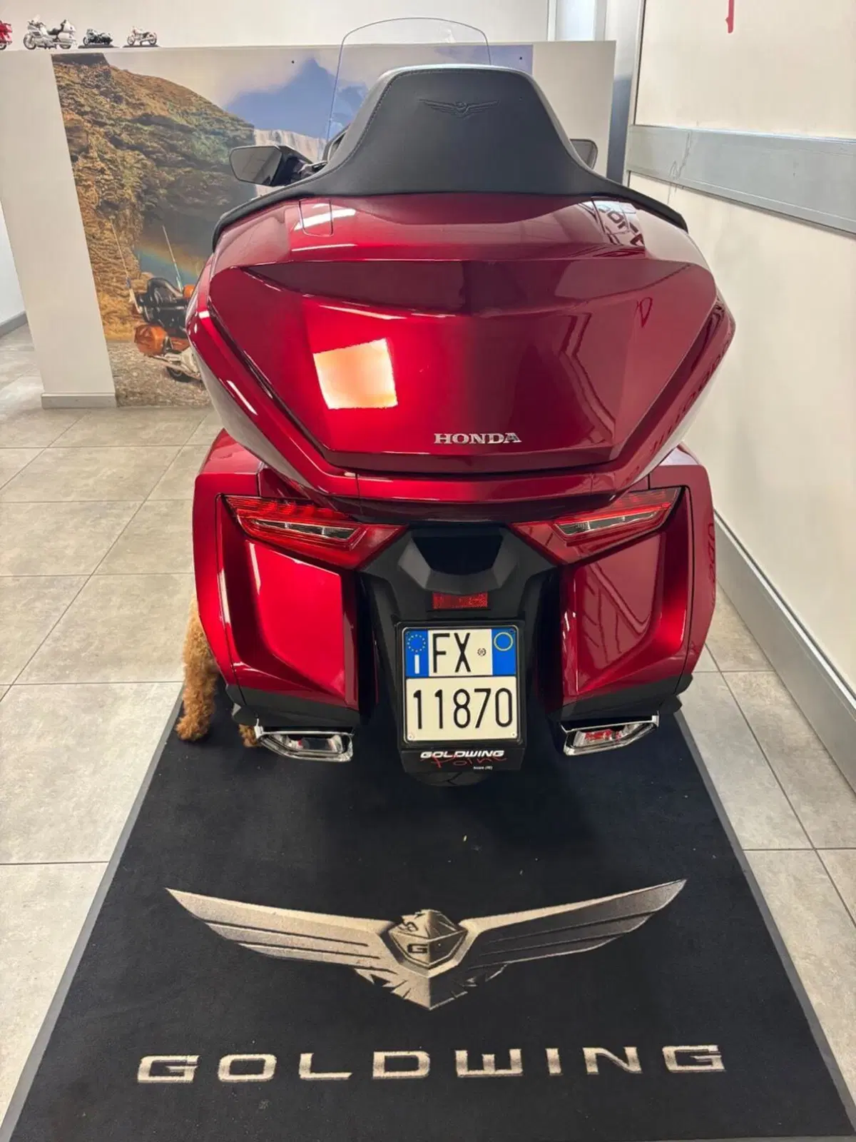 Honda GL 1800 Gold Wing Tour (2025 - 26) (6)