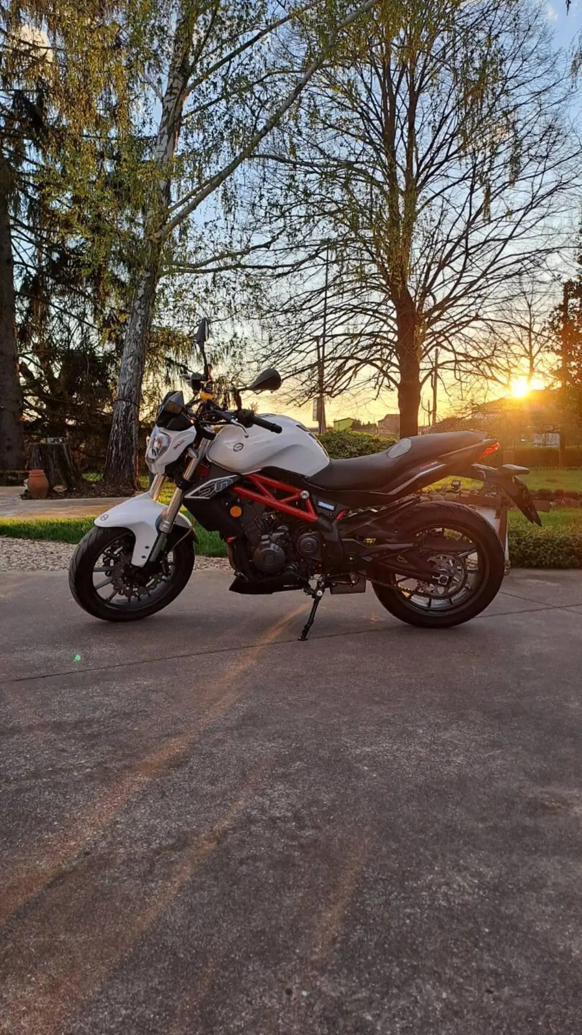 Benelli BN 302 (2017 - 19)