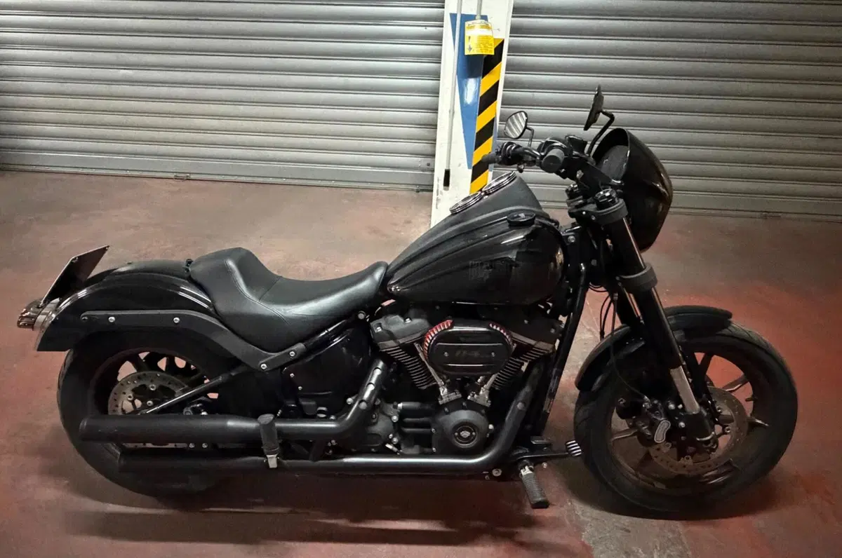Harley-Davidson 114 Low Rider S (2020) - FXLRS (2)