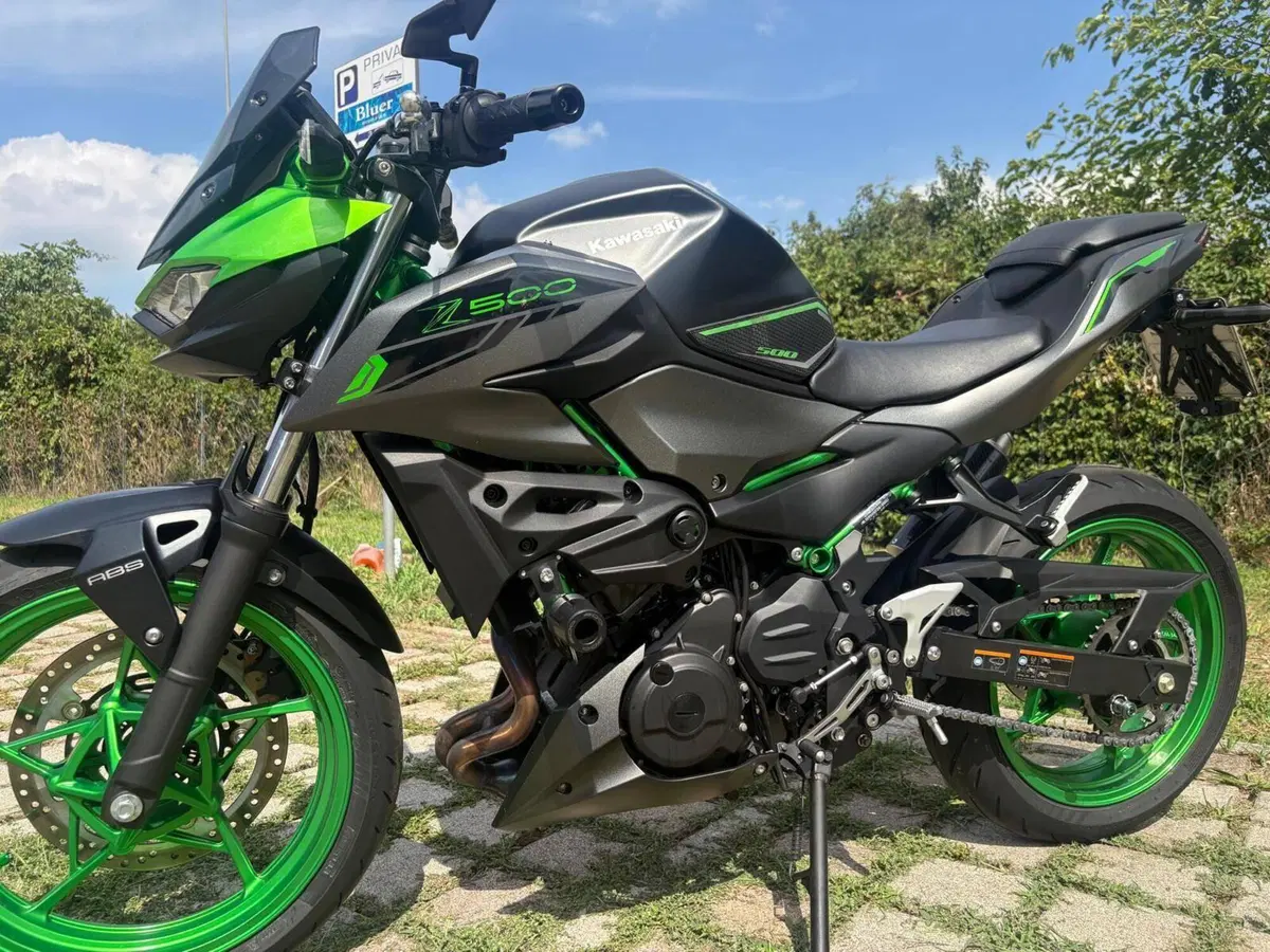 Kawasaki Z 500 SE (2024 - 26) (5)