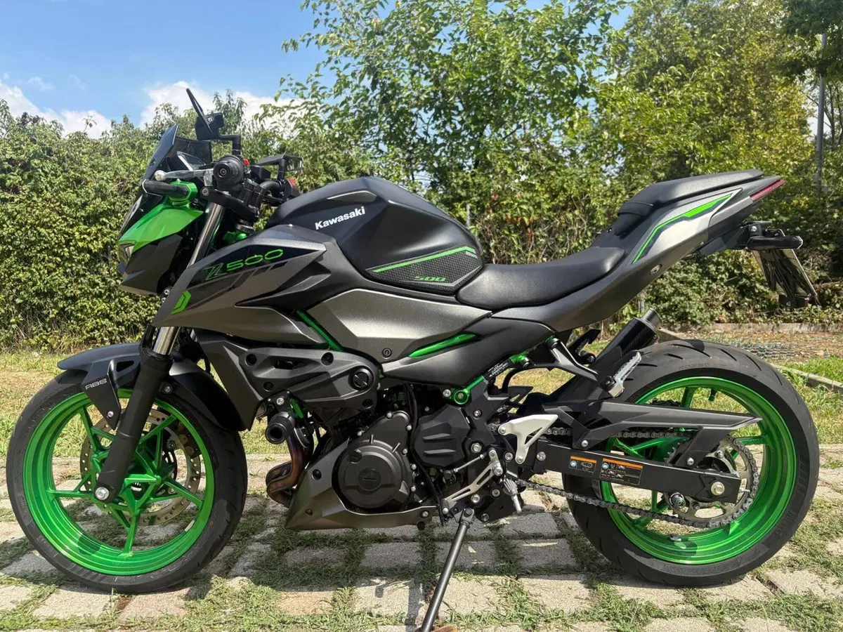 Kawasaki Z 500 SE (2024 - 26) (6)